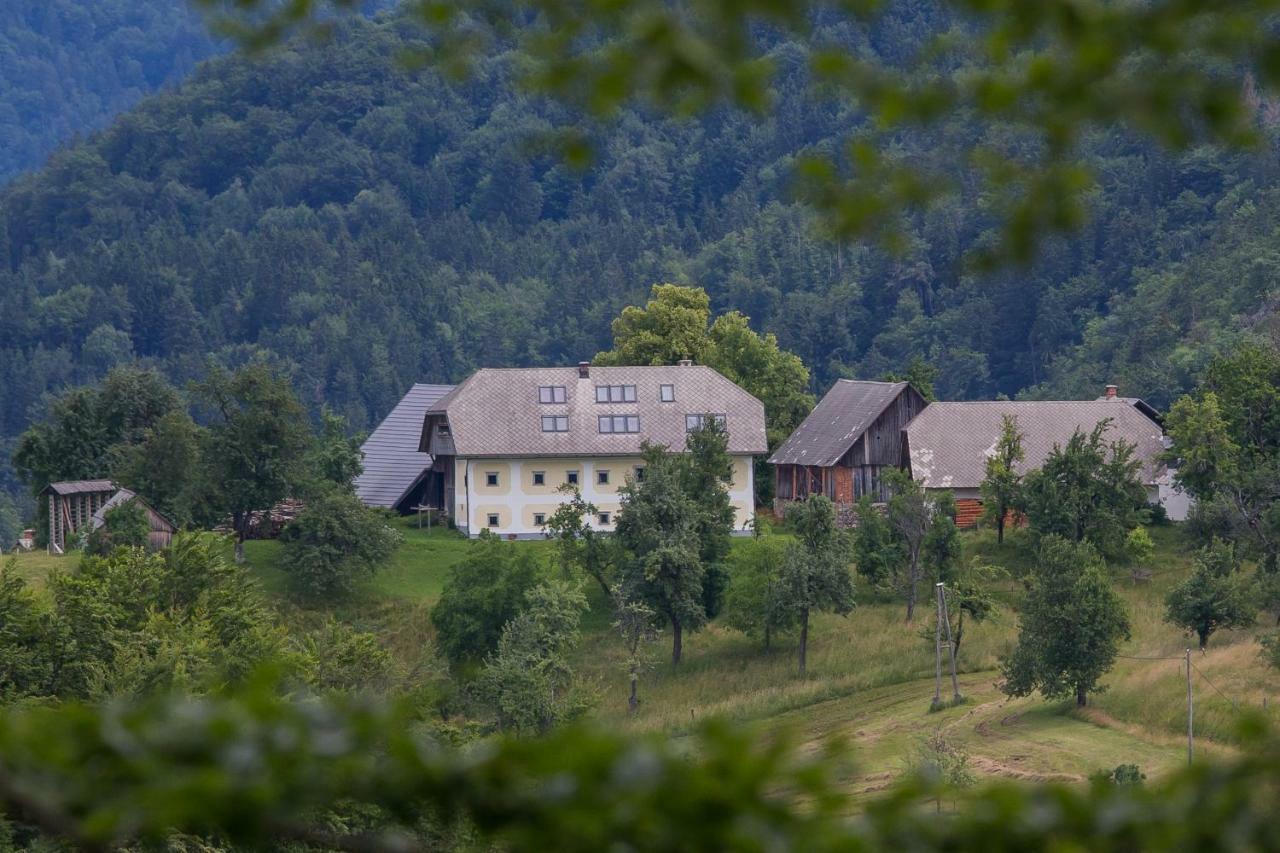 Apartment Krnicar Zgornje Gorje 外观 照片