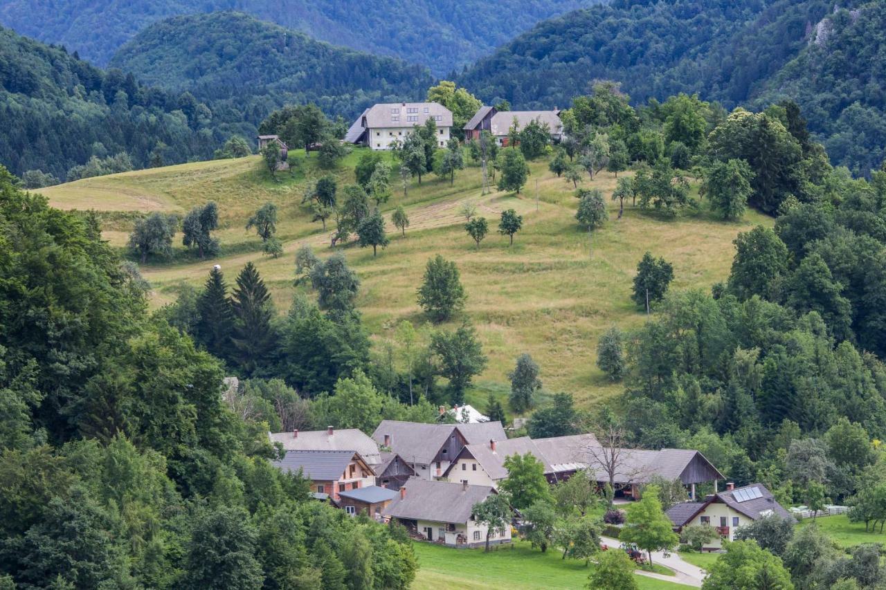 Apartment Krnicar Zgornje Gorje 外观 照片
