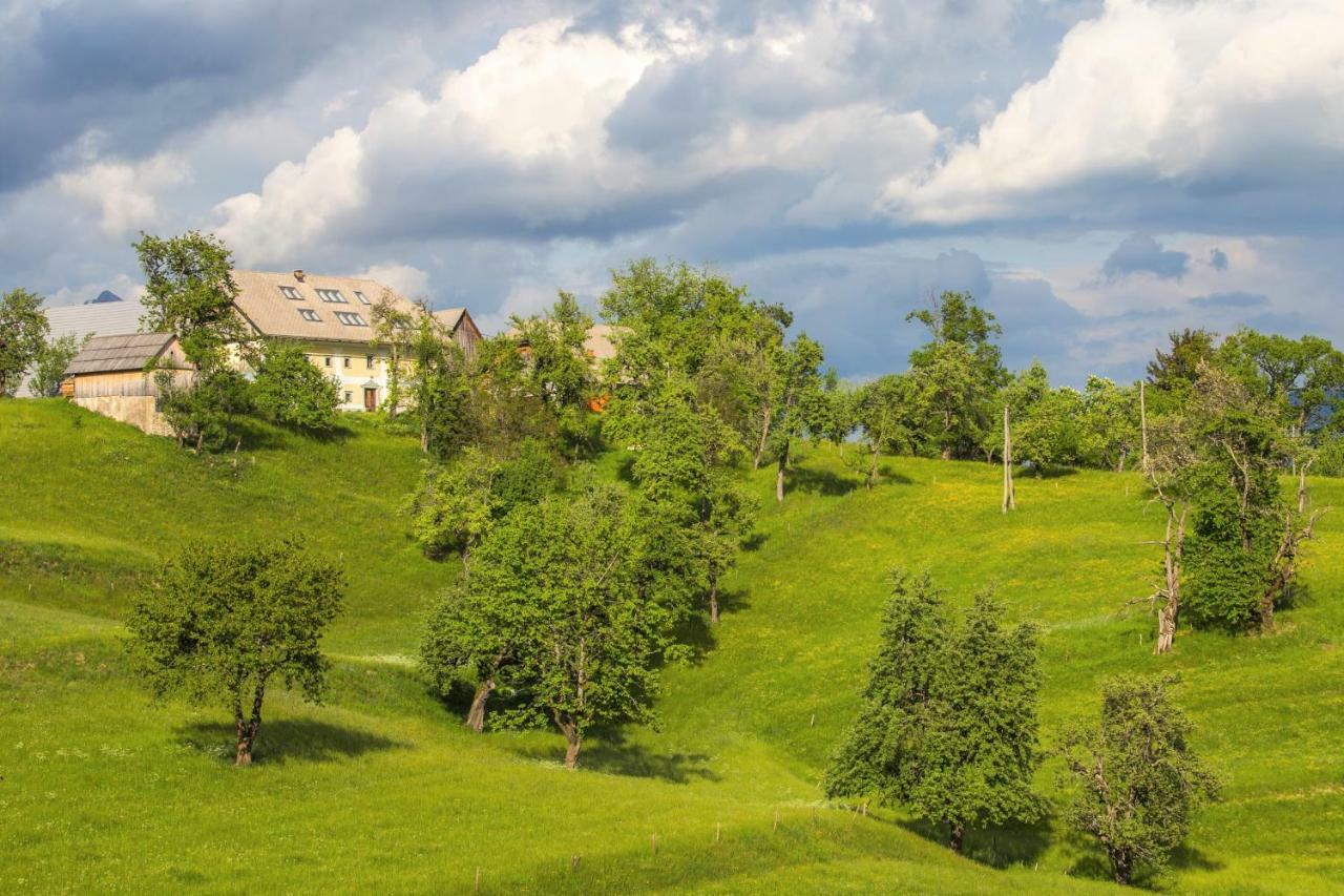 Apartment Krnicar Zgornje Gorje 外观 照片