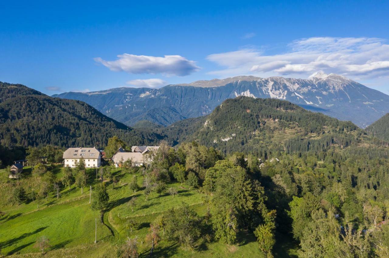 Apartment Krnicar Zgornje Gorje 外观 照片