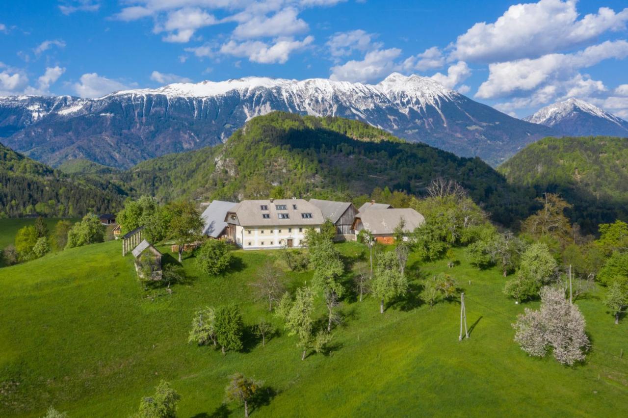 Apartment Krnicar Zgornje Gorje 外观 照片