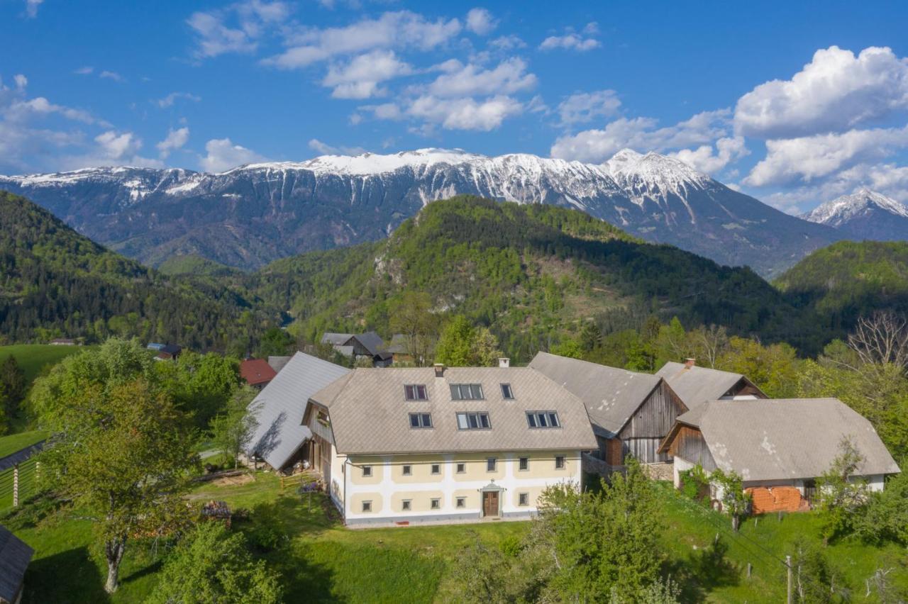 Apartment Krnicar Zgornje Gorje 外观 照片